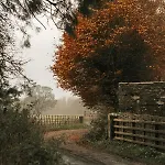 Shepherds Hut Lejlighed
