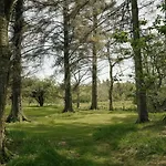 Lejlighed Shepherds Hut *