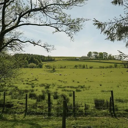 Shepherds Hut Wigton