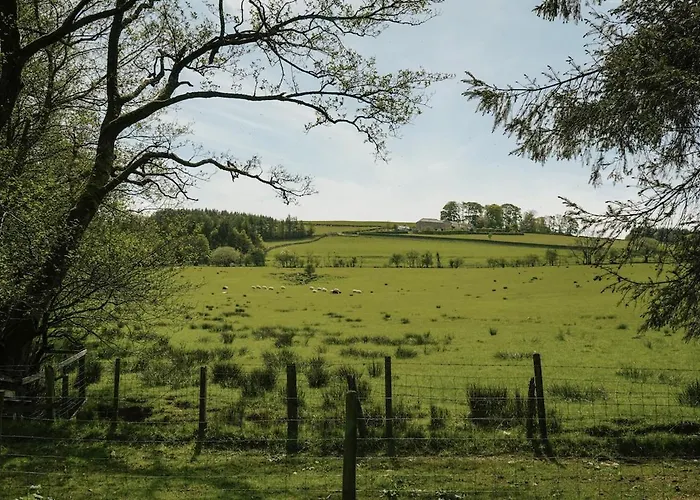 Shepherds Hut Wigton