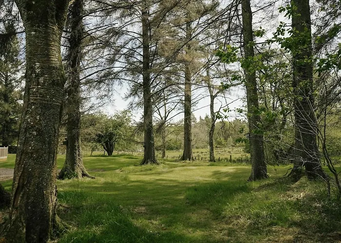 Apartment Shepherds Hut *